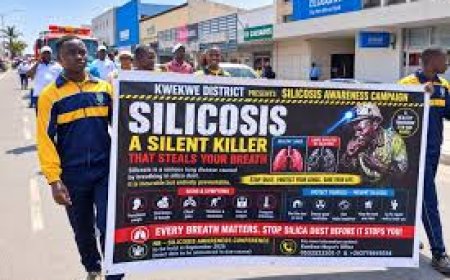 Kwekwe Silicosis Deaths Expose a Mining Health Crisis