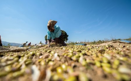 World Bank Warns Zimbabwe Poverty Remains High Despite Economic Growth