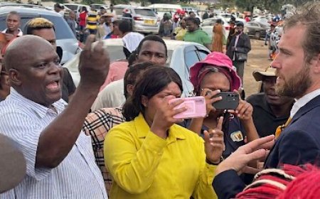Chaos Erupts at Zimbabwe Constitutional Amendment Bill No. 3 Hearings, Lawyer Doug Coltart Beaten, Journalists Harassed