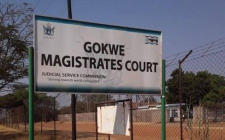Second kidnapping, assault trial date set for ZPCS officer Marima