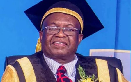 MSU Drives Zimbabwe's Education 5.0 with Breakthrough Innovations in Infrastructure, Tech, and Agribusiness