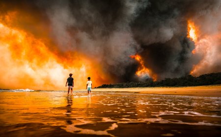 Climate Fund Invests A$103m in Fossil Fuels, Mining and Weapons, Report Finds