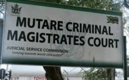 Neighbours Rescue Three-Year-Old from Kidnapper