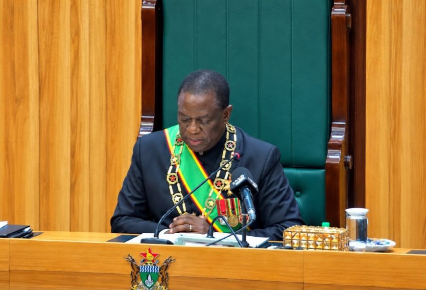 Zimbabwe Targets US$20b Foreign Currency Inflows in 2026