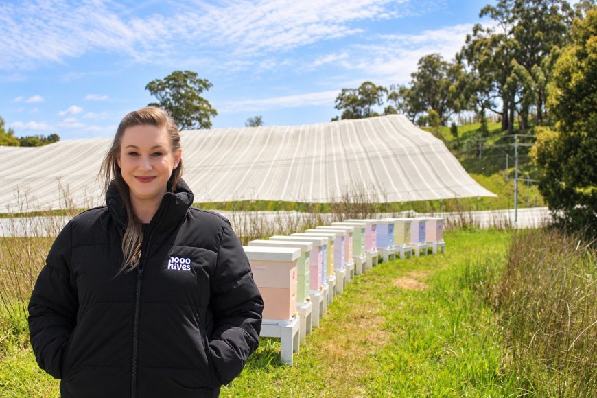 Adelaide Hills Mum Builds 1,000-Hive Network to Protect Australian Food Supply