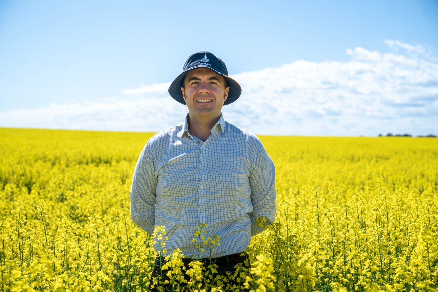 Australia Winter Crop Forecast Falls to 62.9 Million Tonnes as Regional Divide Widens
