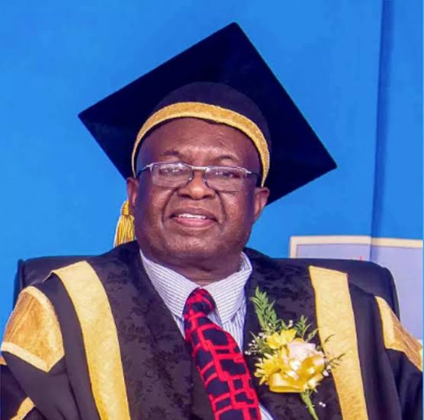 MSU Drives Zimbabwe's Education 5.0 with Breakthrough Innovations in Infrastructure, Tech, and Agribusiness