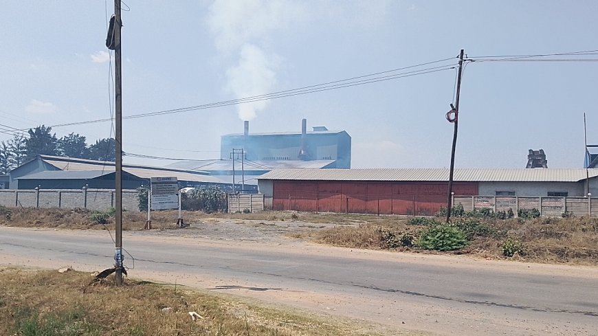 Gweru Residents Concerned Over Chrome Smoke from Chinese Industries