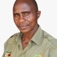 Dumisani Ndlovu