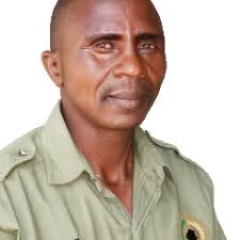 Dumisani Ndlovu